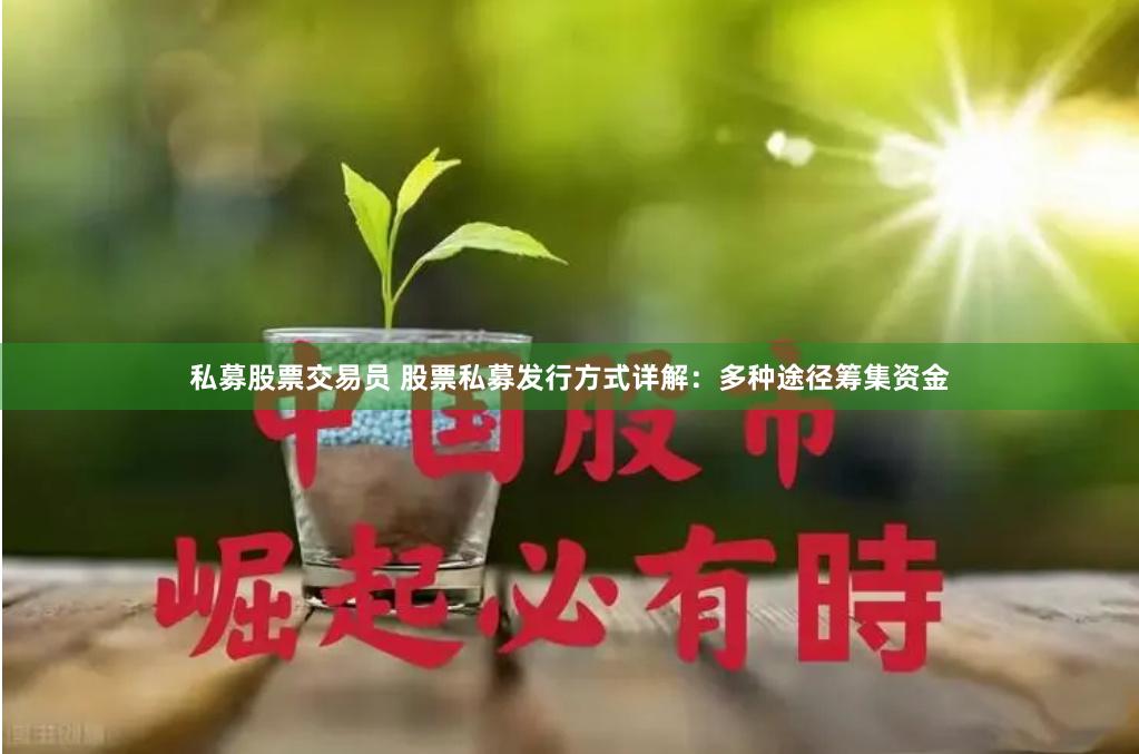 私募股票交易员 股票私募发行方式详解：多种途径筹集资金