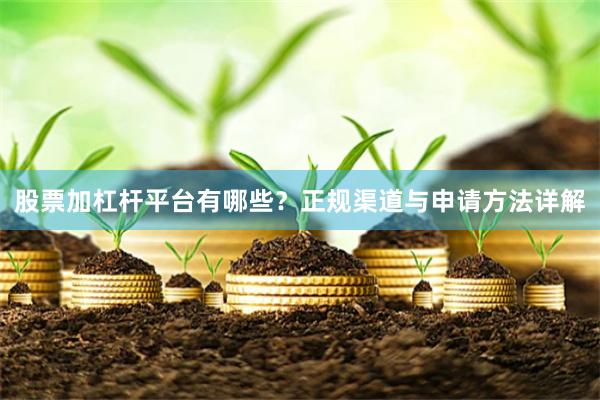 股票加杠杆平台有哪些？正规渠道与申请方法详解