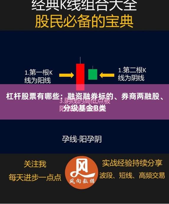杠杆股票有哪些：融资融券标的、券商两融股、分级基金B类